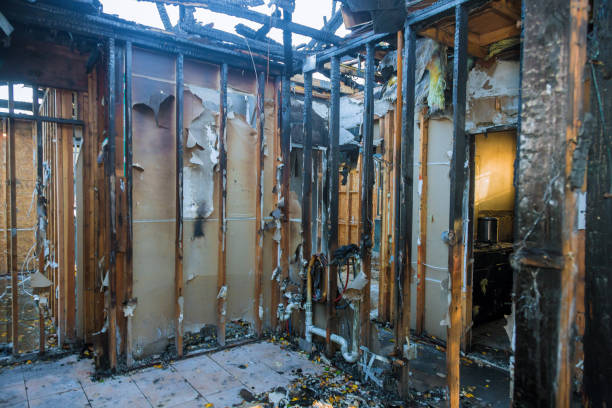Professional Fire Damage Removal technician working in East San Gabriel, CA